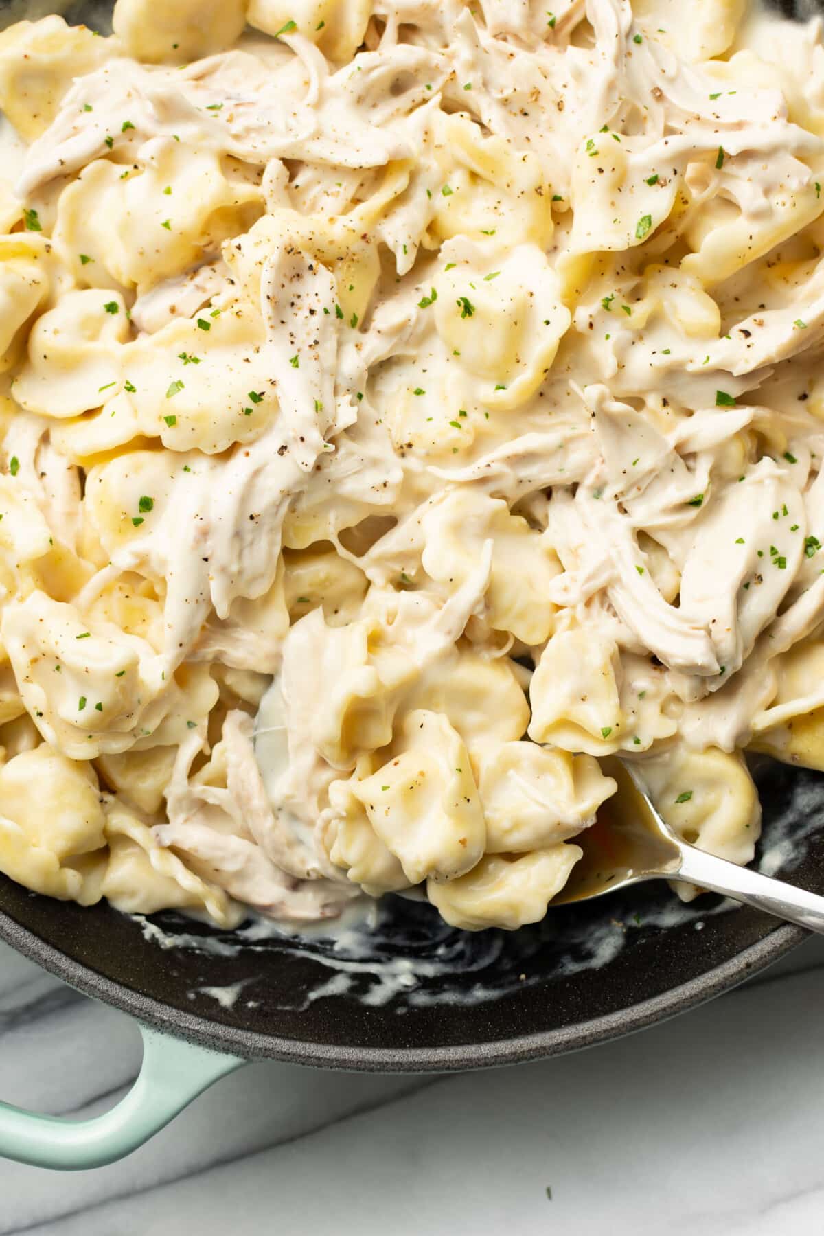 CHICKEN TORTELLINI ALFREDO