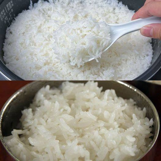 Adding only water when cooking rice is a big mistake. I will share with you the secret that hotels use.